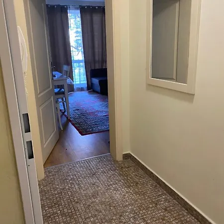 Flores Park Apartment